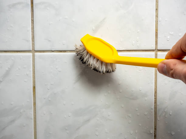 Best Mold Inspection  in Eveleth, MN